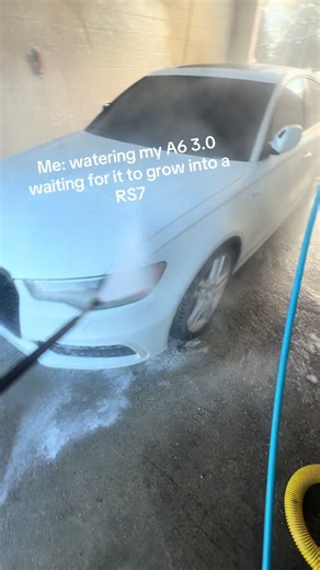 From A6 to RS7: Growing Your Audi Passion