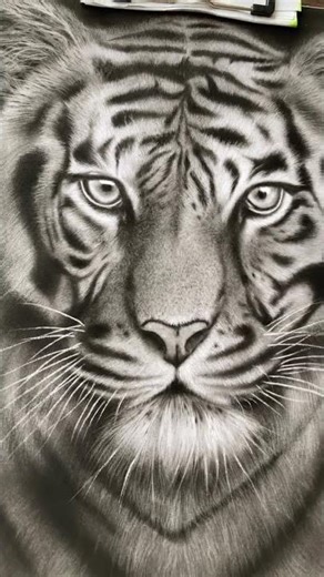animal charcoal drawing #art #drawing #charcoal #charcoaldrawing #animals #animaldrawing