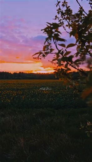 Yeh wada raha... 💗 #whatsappstatus #love #viralshorts #like #shortvideo