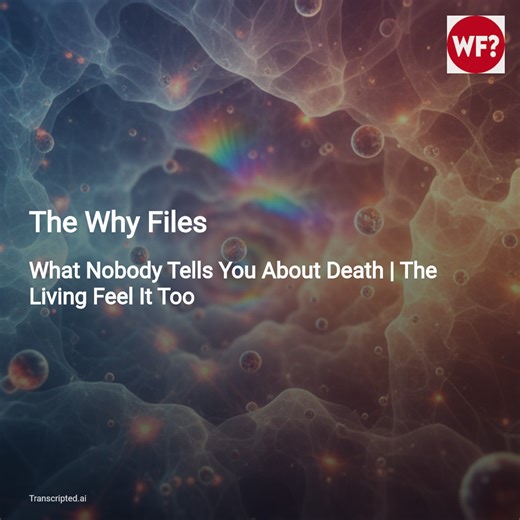 What Nobody Tells You About Death — The Why Files (12‑Minute Summary) - AI Podcast Summaries from Transcripted.ai (VIDEO)