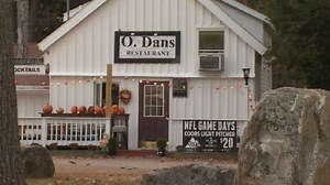 Restaurant Report: Fly infested bar and pizza served on gold plate