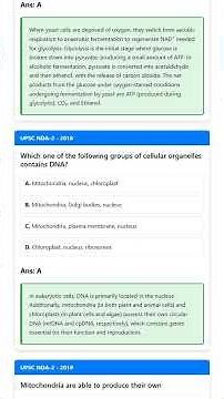 Mitochondria: Structure, Cellular Respiration, and ATP Synthesis