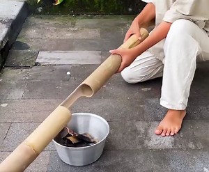 631K views · 2.4K reactions | Some fresh ideas to turn your yard into real jungle! | 5-Minute Crafts | Facebook