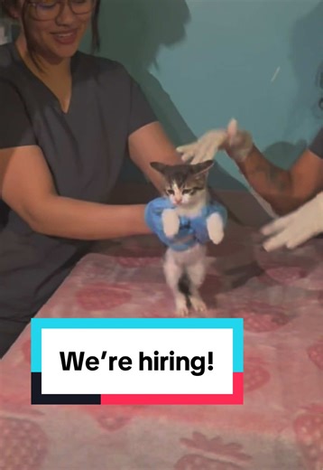 Únete a nosotros en la Feria de Empleo de Técnicos Veterinarios