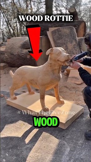 TOP 5 CRAZIEST WOOD CREATIONS EVER MADE 🤯
