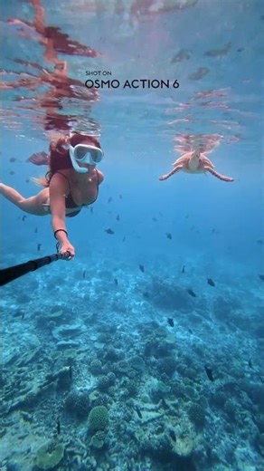 my exact underwater camera setup