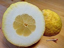 Citron - Alchetron, The Free Social Encyclopedia