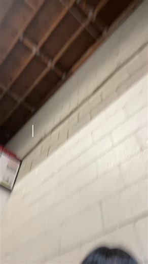 Meet chocolate! Smog check boss #cutedog | Byrosiebarker