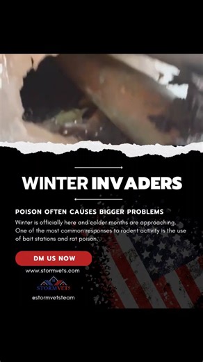 🎄 Unfortunately, it will not be a white Christmas in the DFW this year. Even though temperatures are still reaching the 70s on many days, winter is officially here and colder months are approaching. 🐀 One of the most common responses to rodent activity is the use of bait stations and rat poison. While these methods are widely used, they often provide very little long term resolution and can actually lead to serious damage inside the home. Poison causes extreme thirst in rodents, which can driv