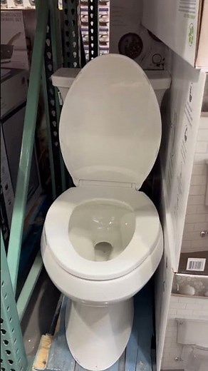 Kohler Intrepid 2-Piece Toilet Kit at Costco