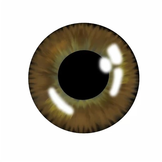 How to Create Realistic Eye Art in Procreate