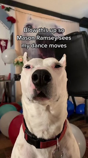 Dance Moves to Impress Mason Ramsey