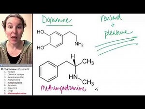 Synapse 9- Methamphetamine