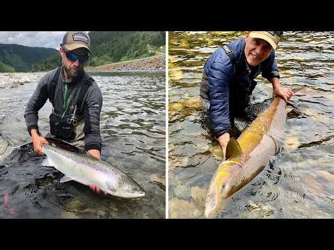 Matt Hayes | Gaula - The Ultimate Atlantic Salmon Fly Fishing River?