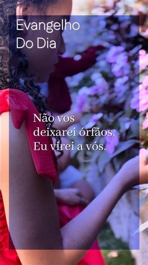 Evangelho - Jo 14,15-21 | Amar e permanecer na presença de Deus