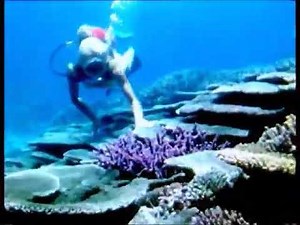 Beautiful Valerie Taylor Scuba Diving