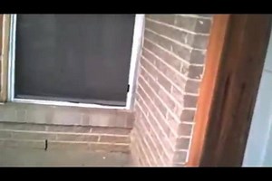 Just released body-camera video of a June 2014 police shooting of Jason Harrison, a 39-year-old mentally ill Dallas man, Officers were called to help and noticed Harrison holding a screwdriver and within seconds shot the man multiple times...Of course we know, "they were in fear of their lives" WAS THIS SHOOTING JUSTIFIED? | Marc Gordon & Friends Show