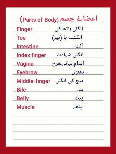 Human Body Parts with Urdu Meanings | Learn English Anatomy Words