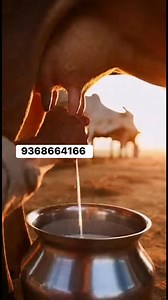 Vikas Kumar on Reels