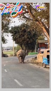 1.4M views · 24K reactions | Ssc#ka#paper#chut#gaya#藍藍藍藍藍藍藍藍藍藍藍藍藍藍#comedy#video#viral | Comedy video | Facebook