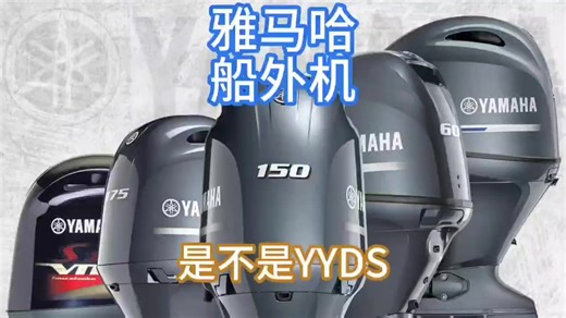 Yamaha 15HP 2 Stroke Enduro Outboard Motor Outboard Engine Boat Motor