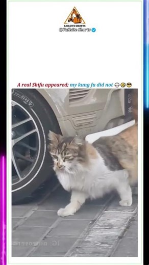 Best Funny Moments🤣🔥Impossible Extreme part-6#epicfails #trynottolaugh #funnyfails #hilariousfails