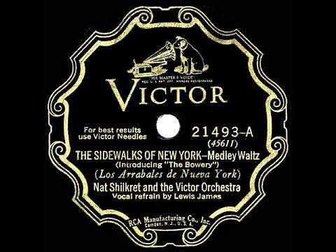 1928 HITS ARCHIVE: The Sidewalks Of New York - Nat Shilkret (Lewis James, vocal)