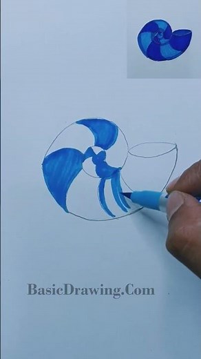 how to draw seashells tutorial for beginners