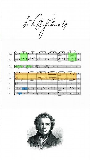 Schubert Unfinished Symphony