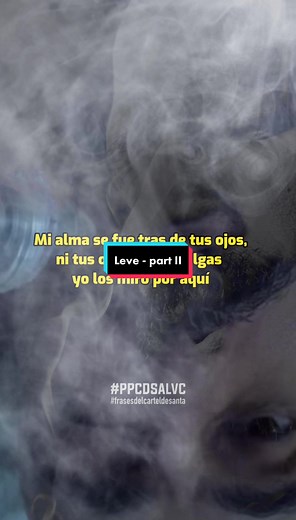 LEVE part II - Cartel De Santa #ppcdsalvc #carteldesanta #frasedelcarteldesanta #babo #mono #santacatarina #rapmexicano #hiphoomexicano #mexico