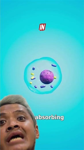 The Shark in the Lake - source ⁨@zackdfilms⁩