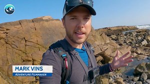 DIY tide pool aquarium: Crab guide