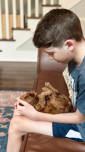 Y’all! I’m so giddy to share these adorable squishy babies and their first bath with you! 🛁🧼 We keep the process positive and loving— patient, slow and intentional! It’s incredibly important to give ALD puppies a strong start with grooming, as there are many grooming sessions in their future 🤭 🧴🫧 We love Life’s Abundance for shiny and smooth coats with a light and super fresh fragrance! 🌸 If you’re interested in trying it, head over to our “nutrition and pet care” page on our website to or