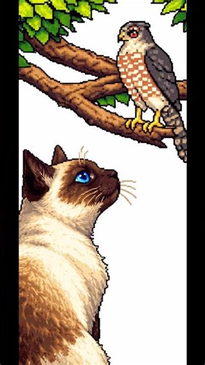 Cat watches hawk poop Ep. 5 #siamese #birdwatching