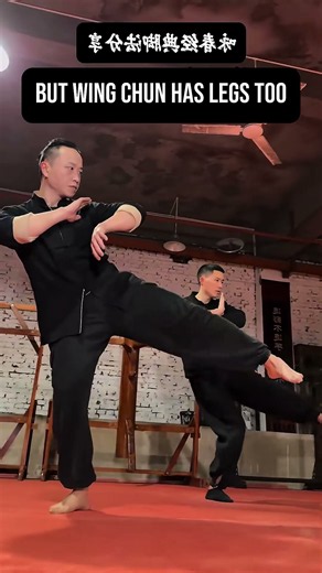 People Think Wing Chun Is All Hands