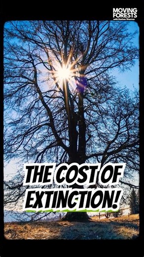 Every Extinction Erases Millions Of Years Of Knowledge! #ecologicalbalance #wildlife