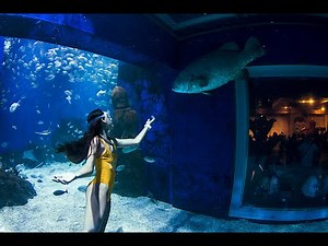 Apnea Walking in Jakarta