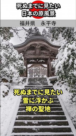 #死ぬまでに見たい #日本の絶景 #永平寺 #曹洞宗 #福井県 #銀世界 #雪景色 #坐禅体験 #精神修行 #北陸 #旅行 #旅Vlog #パワースポット #traveljapan #shorts