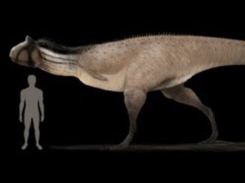 Carnotaurus gameplay [Wow, now you have 700 subs ‪@GOODGUY1122‬ ❤️]