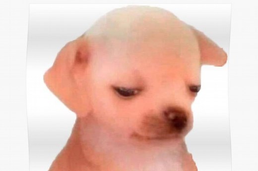 "Unos pedillos": el meme del perrito que ayuda cuando no quieres entrar en detalles