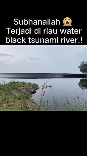 Lanjutan kamaren. Memahami Ombak Bono baca teks dibawa.. Biasanya ombak bisa ditemukan di laut. Namun ternyata, ombak juga bisa ditemukan di Sungai Kampar, Riau. Ombak tersebut sering disebut sebagai Bono atau Ombak Bono. Ombak ini terjadi akibat adanya fenomena alam. Meskipun cukup ganas, ternyata ombak ini kerap diincar oleh para peselancar dari berbagai penjuru dunia. "Proses Terjadinya Ombak Bono" Seperti yang telah disinggung sebelumnya, Ombak Bono dapat ditemukan di Sungai Kampar. Namun ti