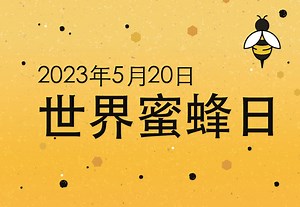 受蜜蜂启发创作的诗歌