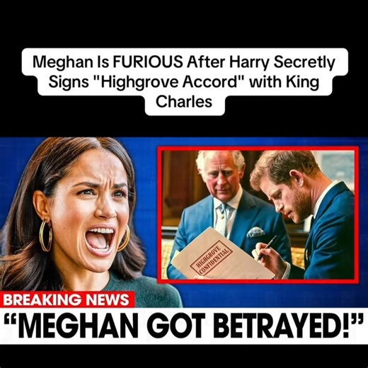 Meghan Reacts Angrily After Harry Secretly Signs the “Highgrove Accord” With King Charles #princeharry #Meghanmarkle #RoyalFamily #fbstyle #princeharry | Breaking Royal 26