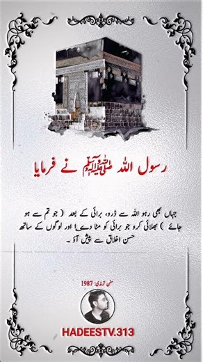 Hadees Pak 💞 | Hadees Sharif 🌹✍️🥀 | Hadith in Urdu | Hadees Mubarak Islamic #shorts #hadees@Htv.313