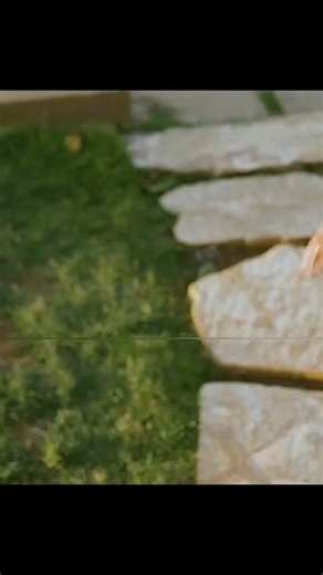 cinema infinity on Instagram: "Movie: Winter Spring Summer or Fall Winter Spring Summer or Fall (2024), directed by Tiffany Paulsen, is a coming-of-age romantic drama that explores the fleeting nature of first love. The film follows Remi Aguilar (Jenna Ortega), a Harvard-bound overachiever, and Barnes Hawthorne (Percy Hynes White), a laid-back musician, as their paths cross over the course of a year. Their relationship unfolds across four pivotal days—one in each season—highlighting the contrast