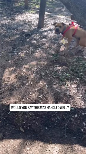 1.4K reactions · 55 shares | I hear her, how do you think she handled...