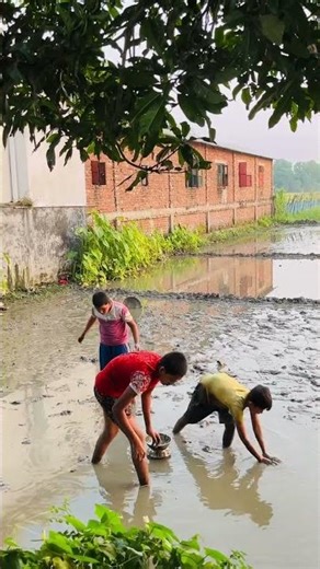 Kids catching fish