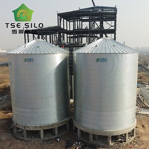 [Hot Item] Farm Bins Silo Steel Galvanized Flat Bottom Silo
