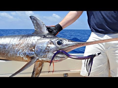 How To: Daytime Deep Drop Swordfishing with Hogy Lures