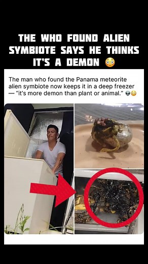The man who found the Panama meteorite alien symbiote now keeps it in a deep freezer. He says it is more dmon than plant or animal. #kinpanama #44vato #mexicantiktok #longervideos #fyp